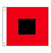 Hurricane Flag