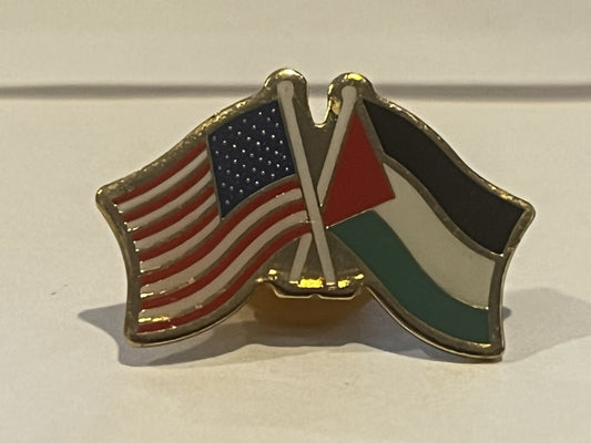 Palestine / United States Pin