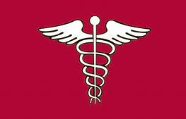 Surgeon