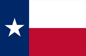 Texas Sticker