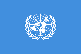 United Nations Sticker