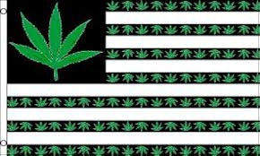United States with Leaf
